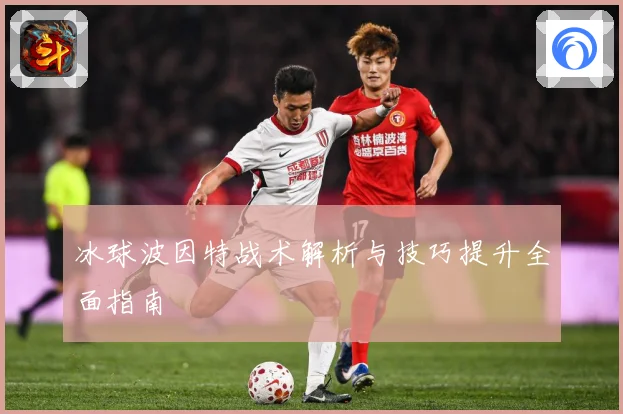 冰球波因特战术解析与技巧提升全面指南
