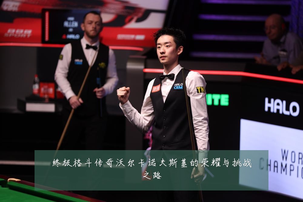 终极格斗传奇沃尔卡诺夫斯基的荣耀与挑战之路
