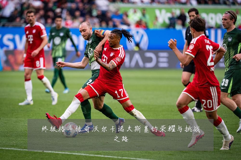 终极格斗传奇沃尔卡诺夫斯基的荣耀与挑战之路
